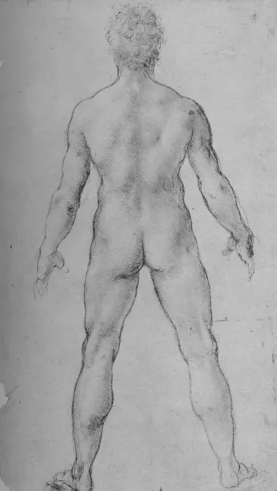 Framed Print : A Nude Man seen from the Back, c1480 (1945). Artist: Leonardo da Vinci Framed Print : A Nude Man seen from the Back, c1480 (1945). Artist: Leonardo da Vinci