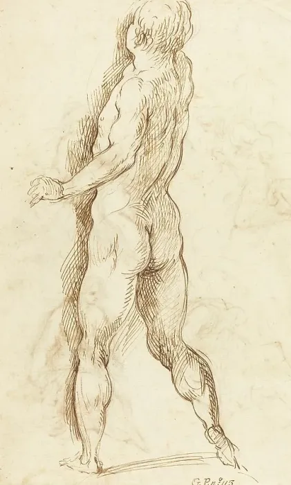 Framed Print : Nude Man Seen from Behind [verso]. Creator: Jacopo Palma