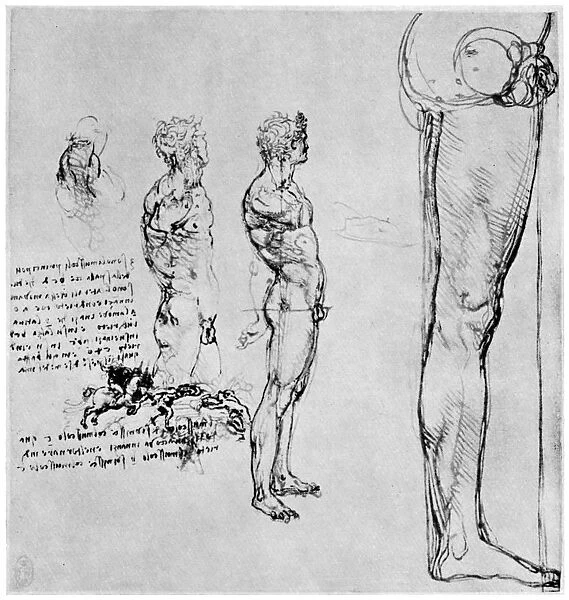 Nude studies for The Battle of Anghiari, c1503-1505 (1954). Artist: Leonardo da Vinci