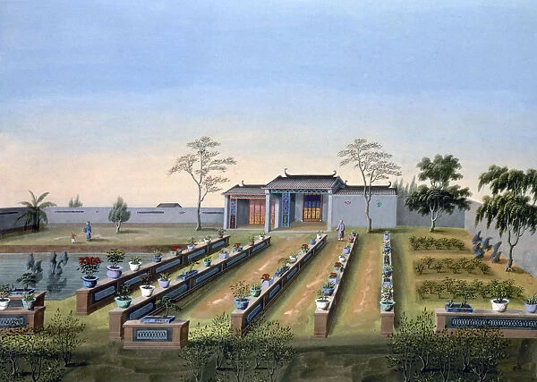 Nursery garden, China, c1820-1840