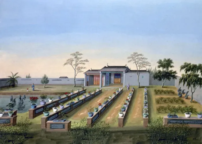 Framed Print : Nursery garden, China, c1820-1840 Framed Print : Nursery garden, China, c1820-1840