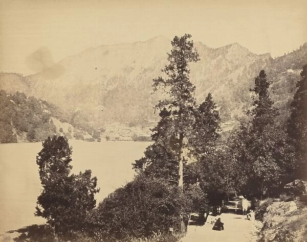 Nynee Tall from South End, c. 1858-1862. Creator: John Murray