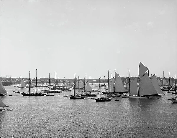 N.Y.Y.C. Fleet, Newport Harbor, August 11, 1888, 1888 Aug 11. Creator: Unknown