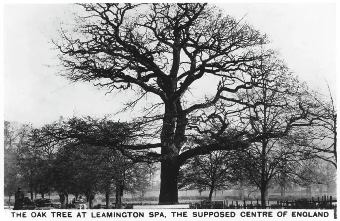 Framed Print : The oak at Leamington Spa, the supposed centre of England, 1936 Framed Print : The oak at Leamington Spa, the supposed centre of England, 1936