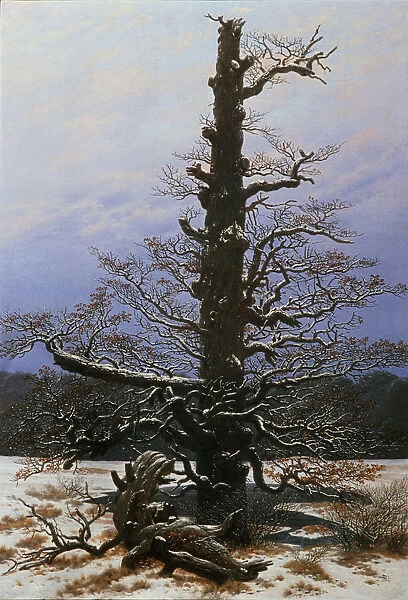 Oak Tree in the Snow. Artist: Friedrich, Caspar David (1774-1840)