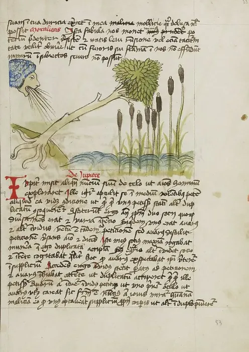 Framed Print : An Oak Tree Up-Rooted by Strong Winds; Fables, third quarter of 15th century. Creator: Unknown Framed Print : An Oak Tree Up-Rooted by Strong Winds; Fables, third quarter of 15th century. Creator: Unknown