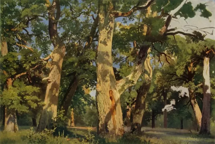 Framed Print : Oak Trees at Eventide, 1887, (1965). Creator: Ivan Shishkin Framed Print : Oak Trees at Eventide, 1887, (1965). Creator: Ivan Shishkin