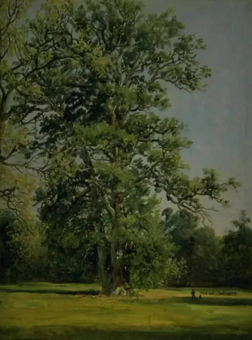 Framed Print : An Oak. View of the Garden at Wörlitz near Dessau, 1838. Creator: Johan Christian Dahl Framed Print : An Oak. View of the Garden at Wörlitz near Dessau, 1838. Creator: Johan Christian Dahl