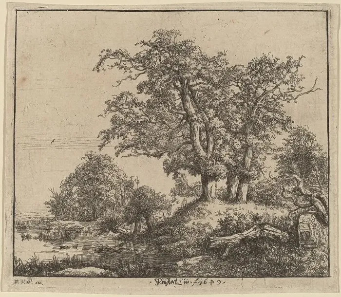 Framed Print : The Three Oaks, 1649. Creator: Jacob van Ruisdael Framed Print : The Three Oaks, 1649. Creator: Jacob van Ruisdael