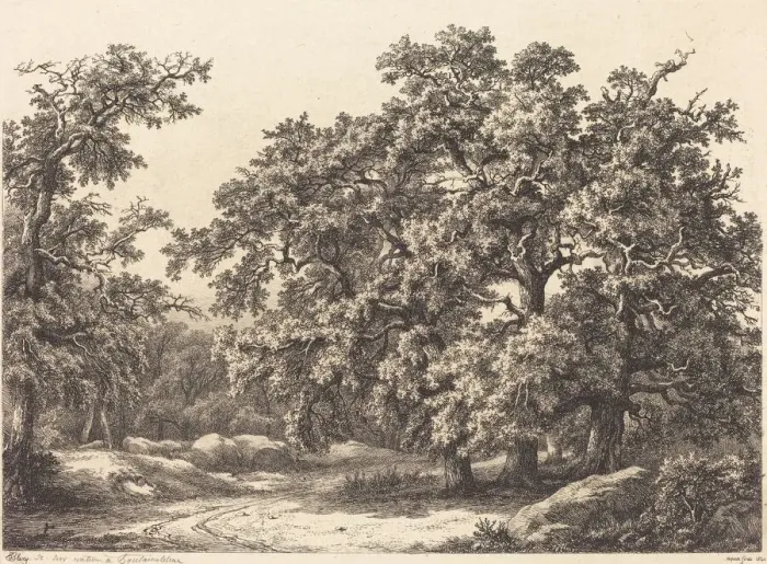 Framed Print : Oaks, 1840. Creator: Eugene Blery Framed Print : Oaks, 1840. Creator: Eugene Blery