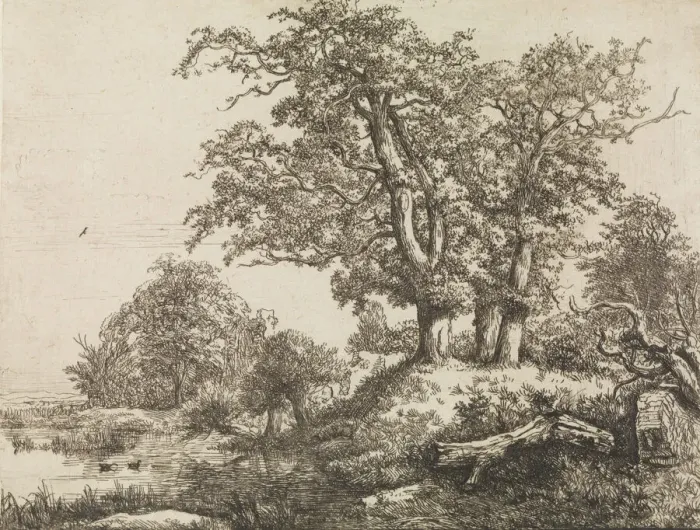 Framed Print : The Three Oaks, mid-17th century. Creator: Jacob van Ruisdael Framed Print : The Three Oaks, mid-17th century. Creator: Jacob van Ruisdael