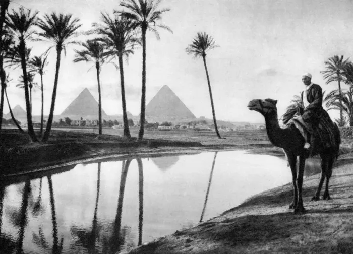 Framed Print : An oasis near Cairo, Egypt, c1920s Framed Print : An oasis near Cairo, Egypt, c1920s
