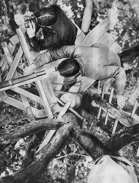 Observation post in a tree, Woevre, France, World War I, c1914