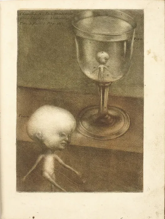 Framed Print : Observations sur l histoire naturelle, sur la physique et sur la peinture, 1752. Creator Framed Print : Observations sur l histoire naturelle, sur la physique et sur la peinture, 1752. Creator