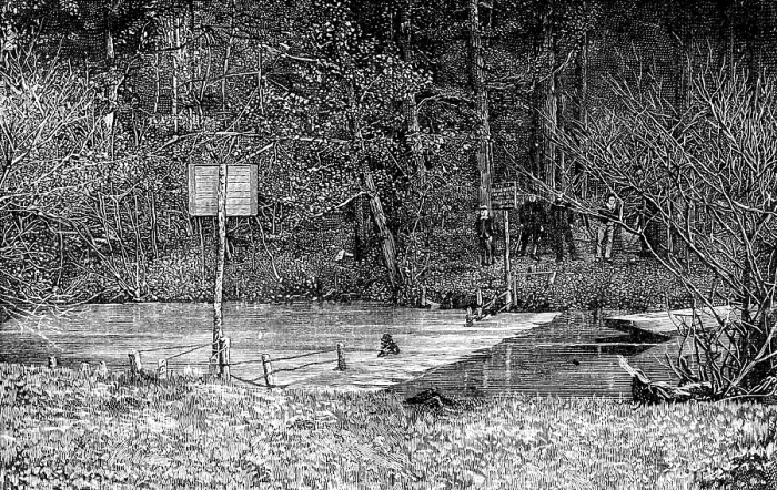 Framed Print : Obstruction on the River Mole, near Esher, 1890. Creator: Unknown Framed Print : Obstruction on the River Mole, near Esher, 1890. Creator: Unknown
