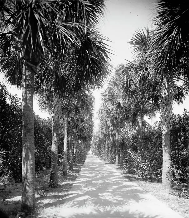 Framed Print : Ocean walk, Palm Beach, Fla. 1902. Creator: Unknown Framed Print : Ocean walk, Palm Beach, Fla. 1902. Creator: Unknown