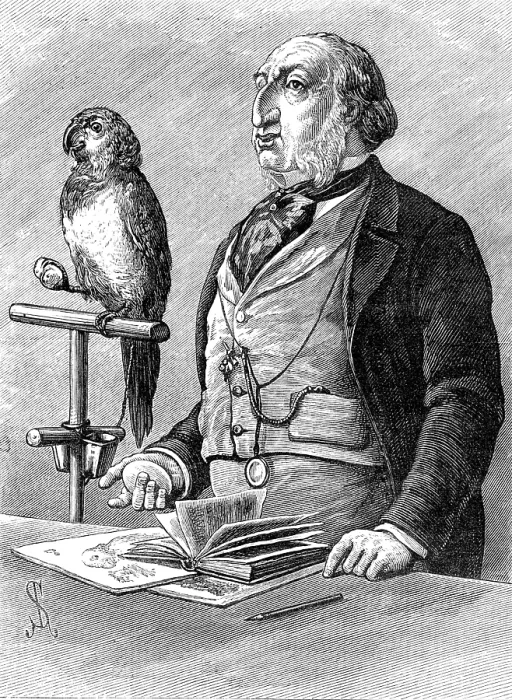 Framed Print : Odd Sketches at the Zoological Gardens: Birds of a Feather, 1881. Creator: Unknown Framed Print : Odd Sketches at the Zoological Gardens: Birds of a Feather, 1881. Creator: Unknown