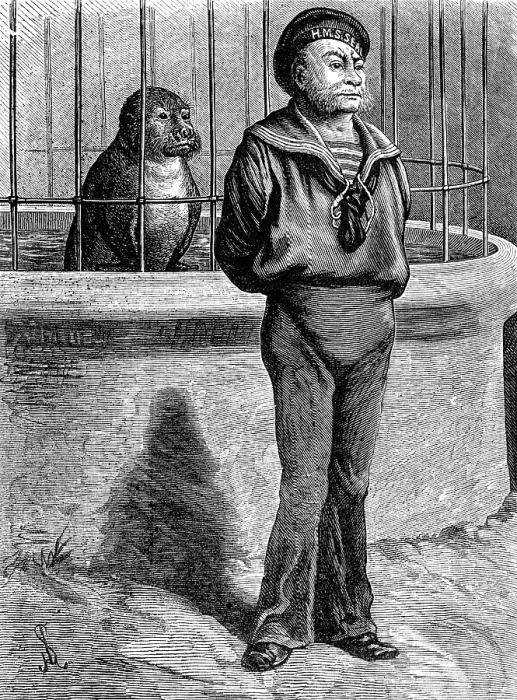 Framed Print : Odd Sketches at the Zoological Gardens: Messmates, 1881. Creator: Unknown Framed Print : Odd Sketches at the Zoological Gardens: Messmates, 1881. Creator: Unknown