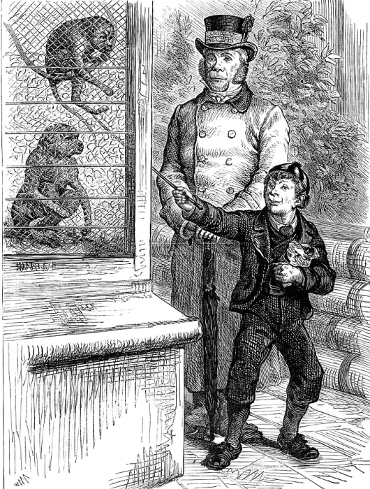 Framed Print : Odd sketches at the Zoological Society's Gardens: the monkeys, 1880. Creator: Unknown Framed Print : Odd sketches at the Zoological Society's Gardens: the monkeys, 1880. Creator: Unknown