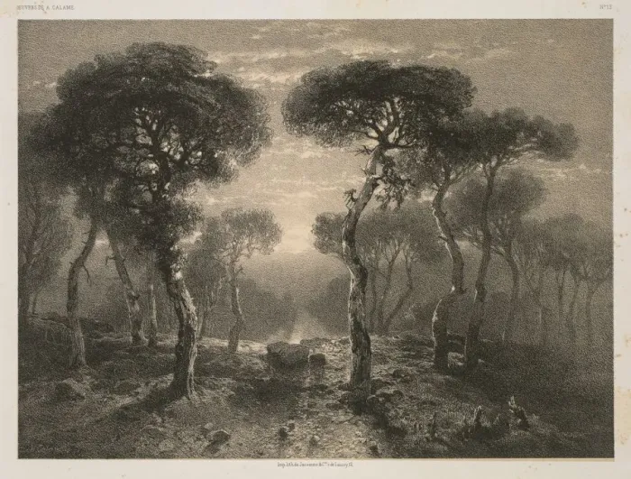 Framed Print : Oeuvres de A. Calame, No. 13: Foret de Sierre en Valais, 1843 (published 1851) Framed Print : Oeuvres de A. Calame, No. 13: Foret de Sierre en Valais, 1843 (published 1851)