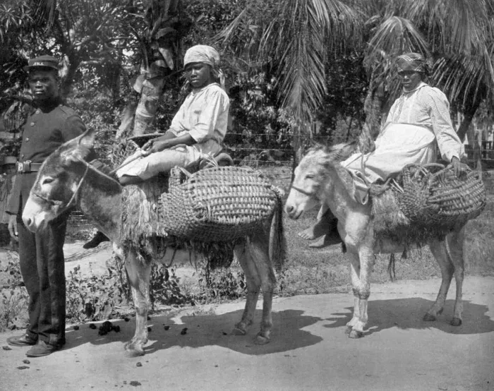 Framed Print : Off to the jail, Jamaica, c1905. Artist: Adolphe Duperly & Son Framed Print : Off to the jail, Jamaica, c1905. Artist: Adolphe Duperly & Son