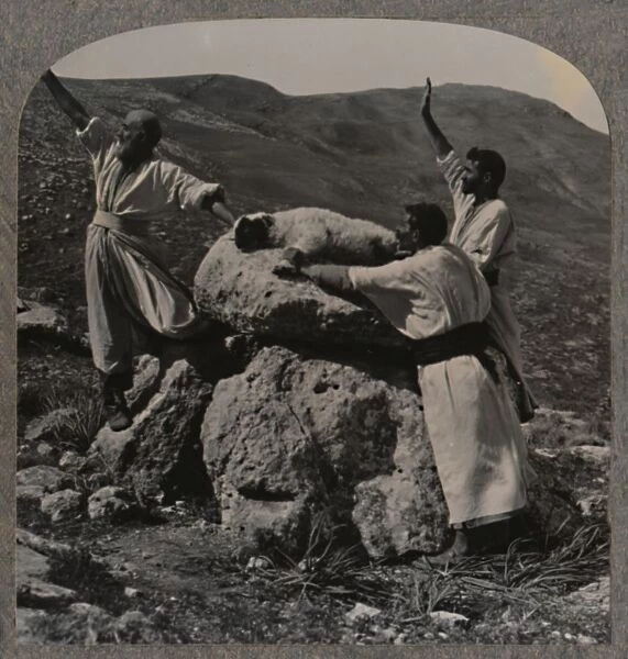 Offering sacrifice of lamb on Altar, Moreh, c1900