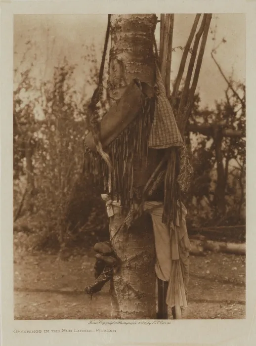 Framed Print : Offerings in the Sun Lodge, Piegan, 1926. Creator: Edward Sheriff Curtis Framed Print : Offerings in the Sun Lodge, Piegan, 1926. Creator: Edward Sheriff Curtis