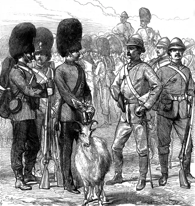 Framed Print : Officers and men of the 23rd Fusiliers in ordinary uniform and as equipped for the Gold Coast, 1873. Creator: Unknown Framed Print : Officers and men of the 23rd Fusiliers in ordinary uniform and as equipped for the Gold Coast, 1873. Creator: Unknown