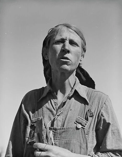 Oklahoma drought refugee, California, 1937. Creator: Dorothea Lange