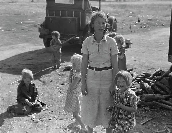 Oklahoma mother of five children, now picking cotton in California, near Fresno, 1936. Creator: Dorothea Lange
