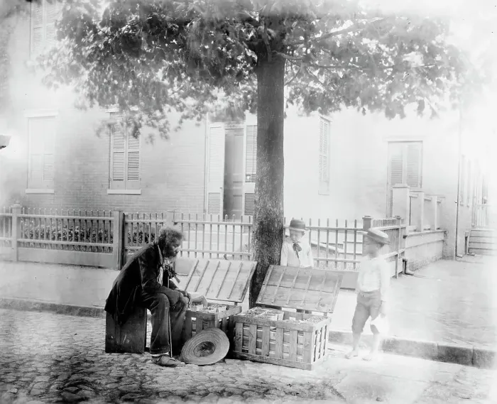 Framed Print : Old African-American man selling strawberries on street, Washington, D.C. - two small... c1900. Creator: Frances Benjamin Johnston Framed Print : Old African-American man selling strawberries on street, Washington, D.C. - two small... c1900. Creator: Frances Benjamin Johnston