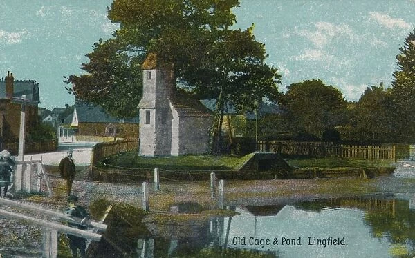 Old cage and pond, Lingfield, Surrey, c1905