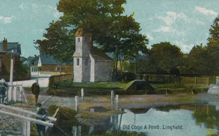 Framed Print : Old cage and pond, Lingfield, Surrey, c1905 Framed Print : Old cage and pond, Lingfield, Surrey, c1905