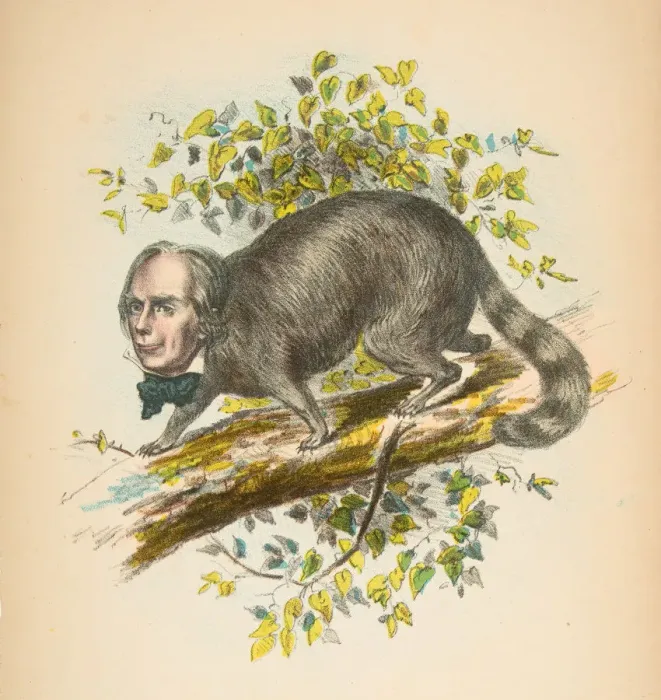 Framed Print : Same Old Coon (Henry Clay), from The Comic Natural History of the Human Race, 1851 Framed Print : Same Old Coon (Henry Clay), from The Comic Natural History of the Human Race, 1851