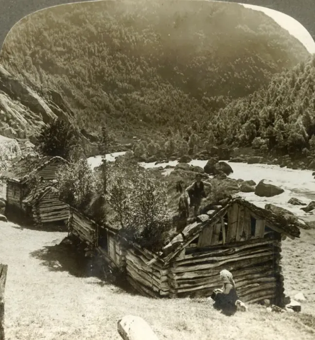 Framed Print : Old log houses in Bratslandsdal, with trees growing on sod-covered roofs, Norway, c1905 Framed Print : Old log houses in Bratslandsdal, with trees growing on sod-covered roofs, Norway, c1905