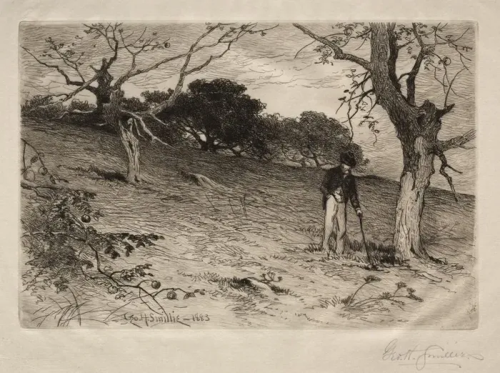 Framed Print : An Old New England Orchard, 1883. Creator: George Henry Smillie (American, 1840-1921) Framed Print : An Old New England Orchard, 1883. Creator: George Henry Smillie (American, 1840-1921)