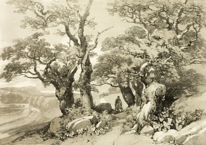 Framed Print : Old Oaks, from The Park and the Forest, 1841. Creator: James Duffield Harding Framed Print : Old Oaks, from The Park and the Forest, 1841. Creator: James Duffield Harding