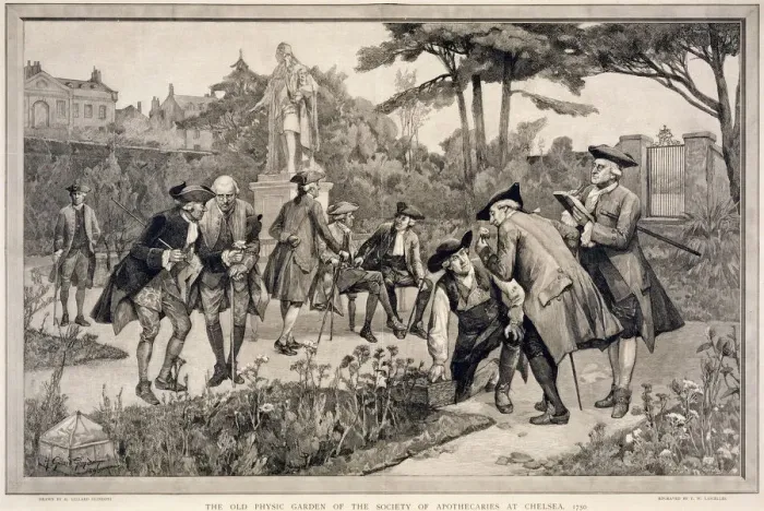 Framed Print : The Old Physic Garden of the Society of Apothecaries at Chelsea, 1750, 1890. Artist Framed Print : The Old Physic Garden of the Society of Apothecaries at Chelsea, 1750, 1890. Artist
