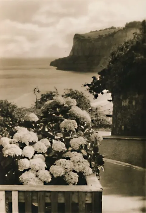 Framed Print : Old Shanklin Head, I. W. c1920. Creator: Unknown Framed Print : Old Shanklin Head, I. W. c1920. Creator: Unknown