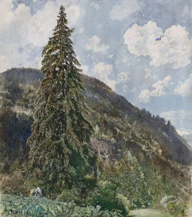Framed Print : The old Spruce in Bad Gastein, 1899. Artist: Alt, Rudolf von (1812-1905) Framed Print : The old Spruce in Bad Gastein, 1899. Artist: Alt, Rudolf von (1812-1905)