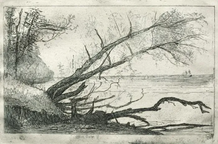 Framed Print : Old Sycamore, 1877. Creator: Otto H. Bacher (American, 1856-1909) Framed Print : Old Sycamore, 1877. Creator: Otto H. Bacher (American, 1856-1909)