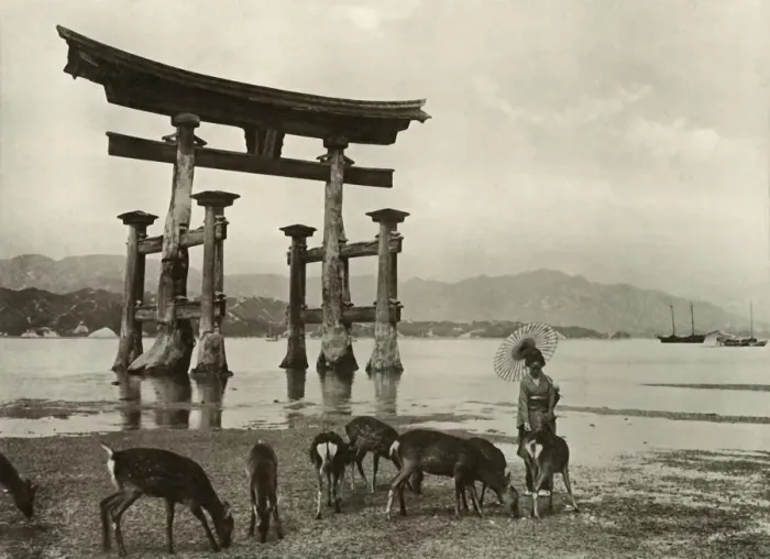 Framed Print : The Old Torii at Miyajima, 1910. Creator: Herbert Ponting Framed Print : The Old Torii at Miyajima, 1910. Creator: Herbert Ponting