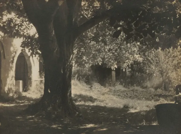 Framed Print : The old walnut tree, 1931. Creator: Henry Edward Gaze Framed Print : The old walnut tree, 1931. Creator: Henry Edward Gaze