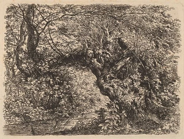 An Old Willow by a Stream, 1793. Creator: Johann Georg von Dillis