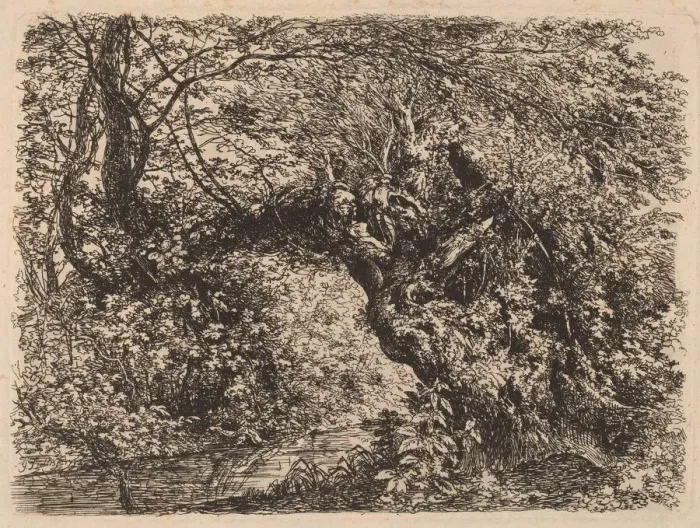Framed Print : An Old Willow by a Stream, 1793. Creator: Johann Georg von Dillis Framed Print : An Old Willow by a Stream, 1793. Creator: Johann Georg von Dillis
