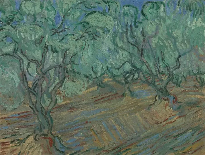 Framed Print : Olive grove, 1889. Creator: Gogh, Vincent, van (1853-1890) Framed Print : Olive grove, 1889. Creator: Gogh, Vincent, van (1853-1890)