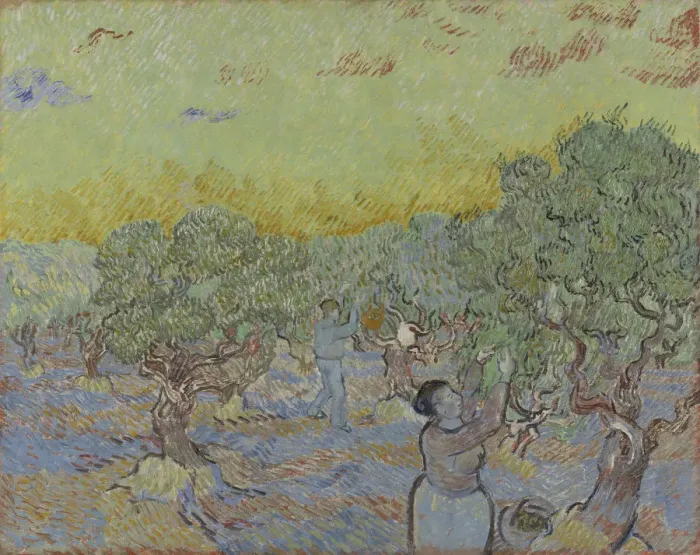 Framed Print : Olive grove with two olive pickers, 1889 Framed Print : Olive grove with two olive pickers, 1889