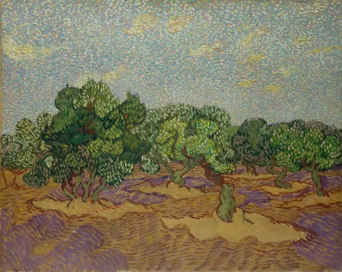 Framed Print : Olive Trees, 1889. Creator: Vincent van Gogh Framed Print : Olive Trees, 1889. Creator: Vincent van Gogh