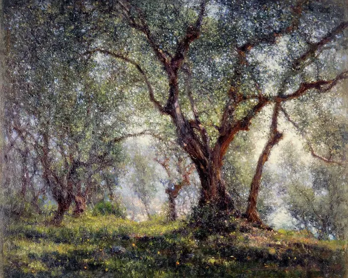 Framed Print : Olive trees in Menton, 18–07–1918. Creator: Henry Brokman Framed Print : Olive trees in Menton, 18–07–1918. Creator: Henry Brokman