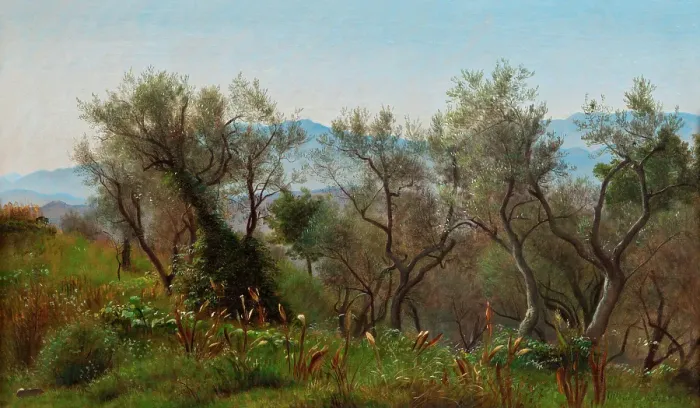 Framed Print : Olive Trees near Olevano, 1869. Creator: Peter Christian Thamsen Skovgaard Framed Print : Olive Trees near Olevano, 1869. Creator: Peter Christian Thamsen Skovgaard